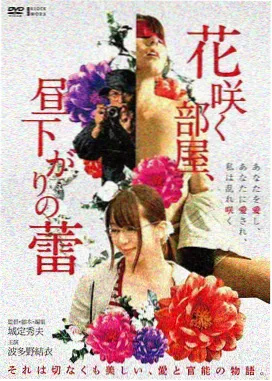 纪实影像合集条目封面